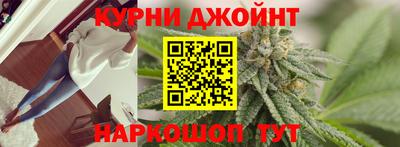 сатива Сланцы