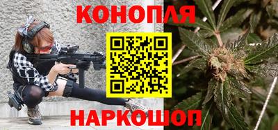 сатива Сланцы
