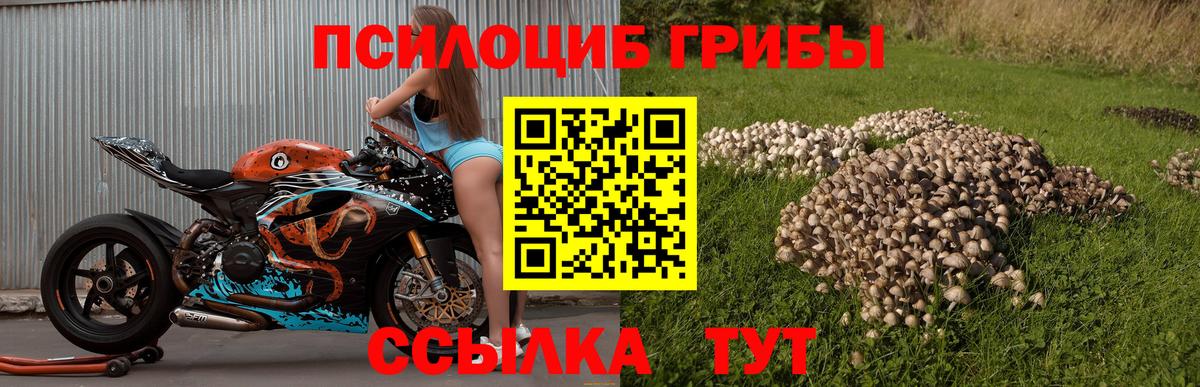 Можайск  Галлюциногенные грибы GOLDEN TEACHER  Вход с VPN 