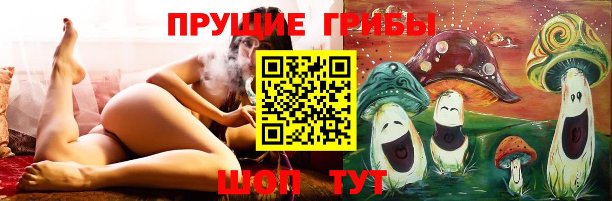 Галлюциногенные грибы Psilocybine cubensis Можайск